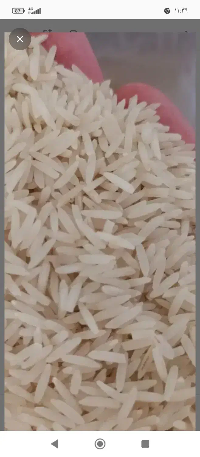 برنج طارم درجه یک|خوردنی و آشامیدنی|ایلام, |دیوار
