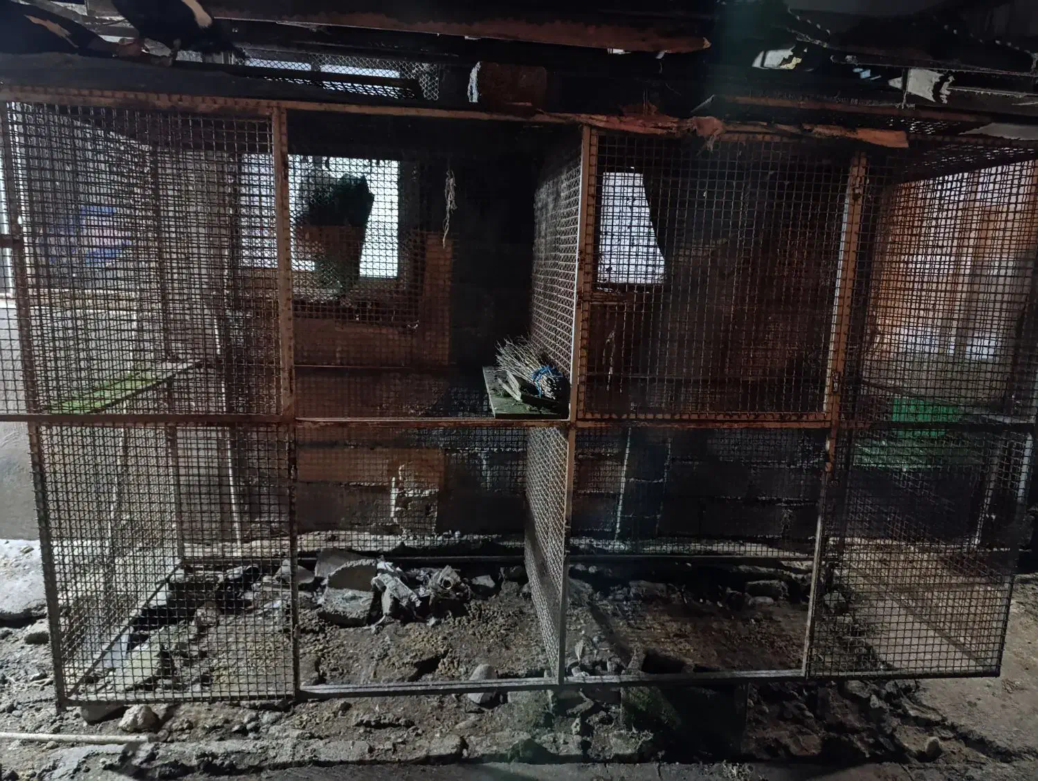 لانه،گنجه فنسی اهنی|لوازم جانبی حیوانات|رشت, دیلمان|دیوار