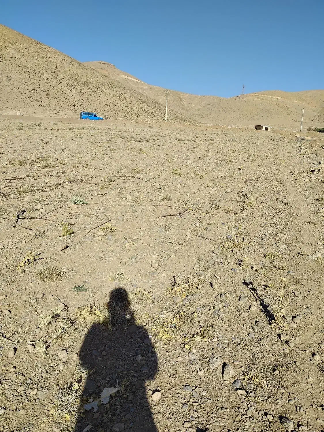 زمین زراعی و کشاورزی|اجارهٔ دفتر صنعتی، کشاورزی، تجاری|کیار, |دیوار