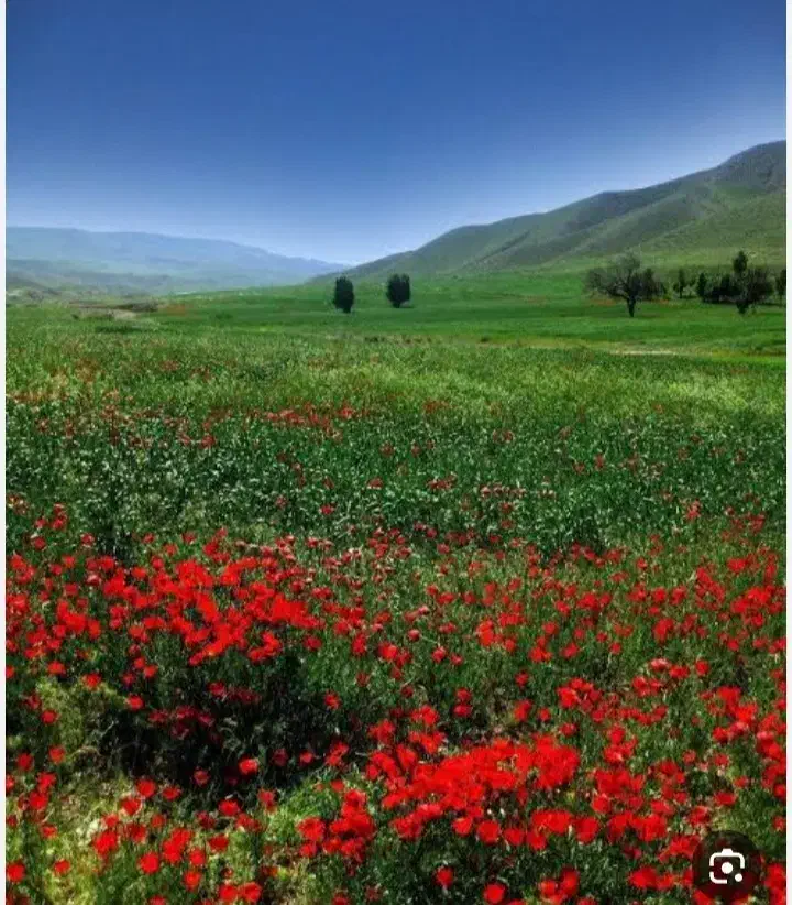 زمین|فروش زمین و ملک کلنگی|دهدشت, |دیوار