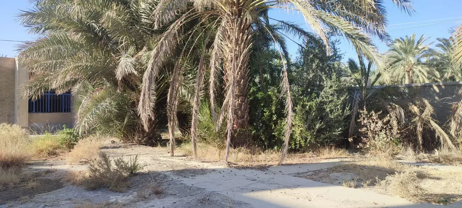 معاوضه تراکتور ۴۷۵ جفت با زمین یا اپارتمان|خودرو سنگین|چابهار, |دیوار