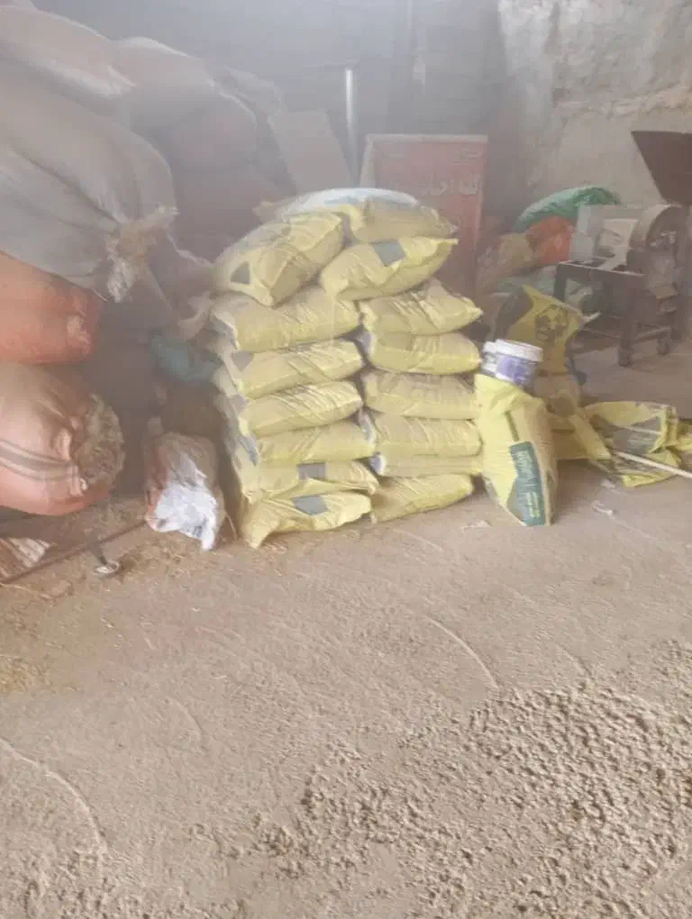 کاه دیم درجه یک|خدمات باغبانی و درختکاری|مسجد سلیمان, |دیوار