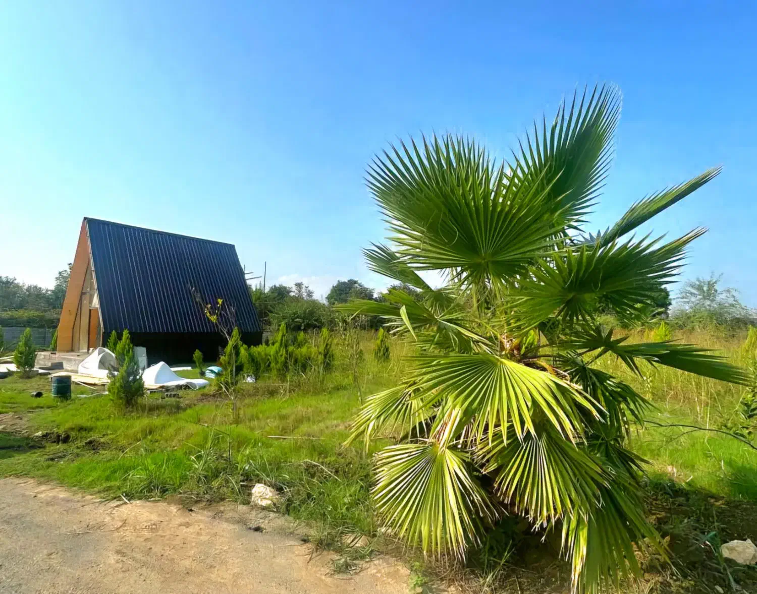 شهرک نوپا سوددهی بالا گیت۲۴ساعته مستقراگهی قیمت کل|فروش زمین و ملک کلنگی|گلوگاه بابل (گلیا), |دیوار