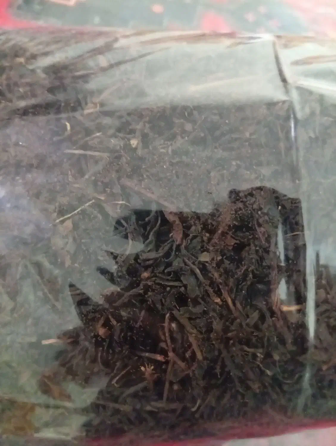 فروش چای لاهیجان|خوردنی و آشامیدنی|تهران, دولاب|دیوار