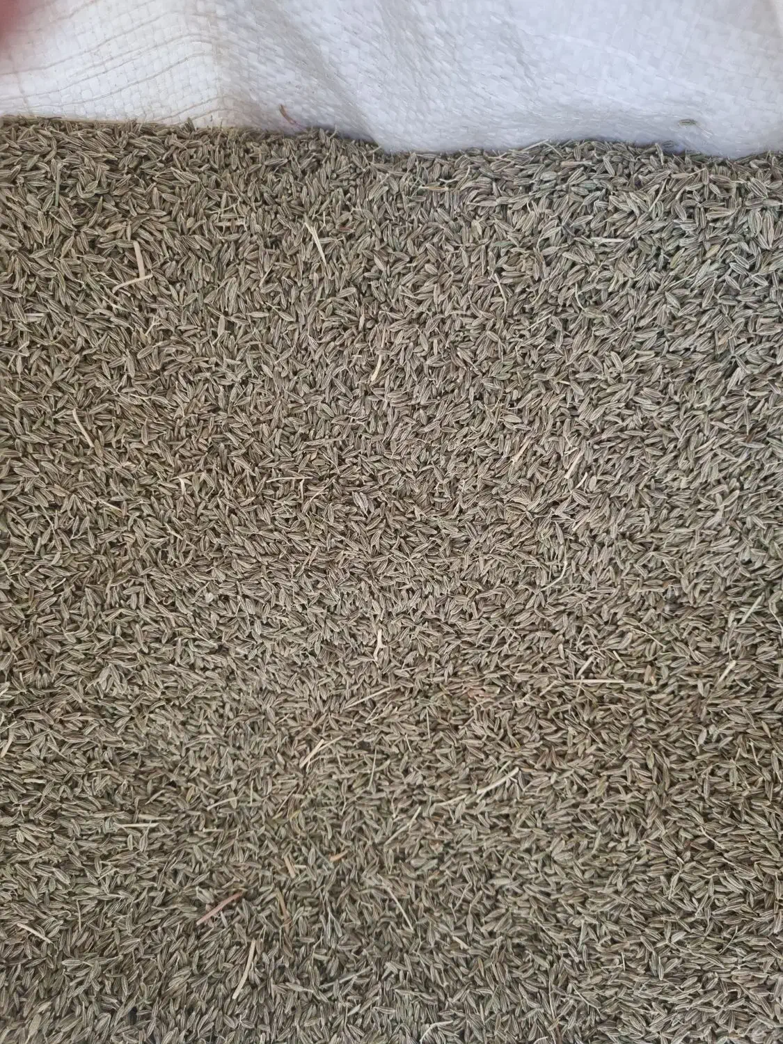 زیره سبز|خوردنی و آشامیدنی|صفی آباد, |دیوار