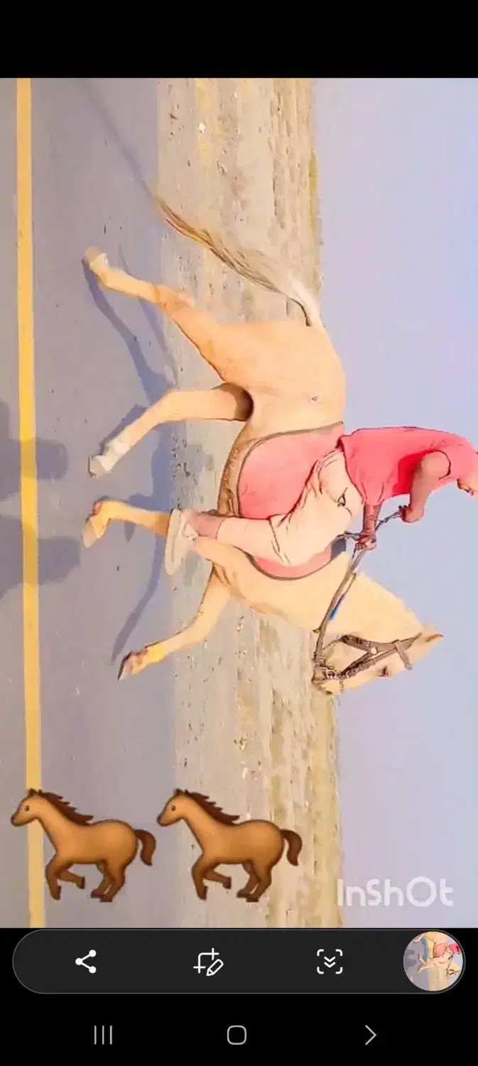 نریون|اسب و تجهیزات اسبسواری|نیشابور, شهرکهنه|دیوار