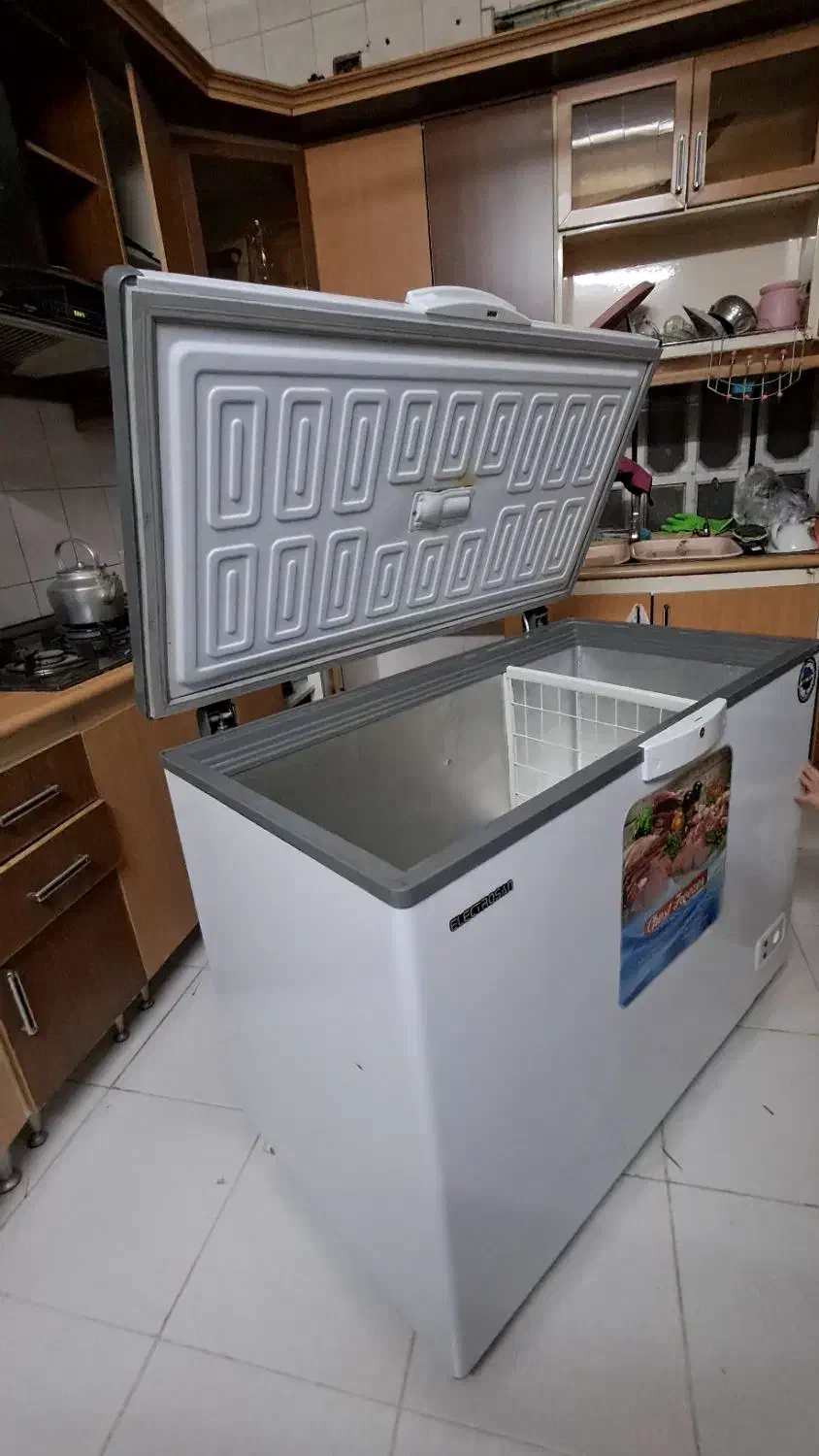 فریزر صندوقی|یخچال و فریزر|بندر گناوه, |دیوار