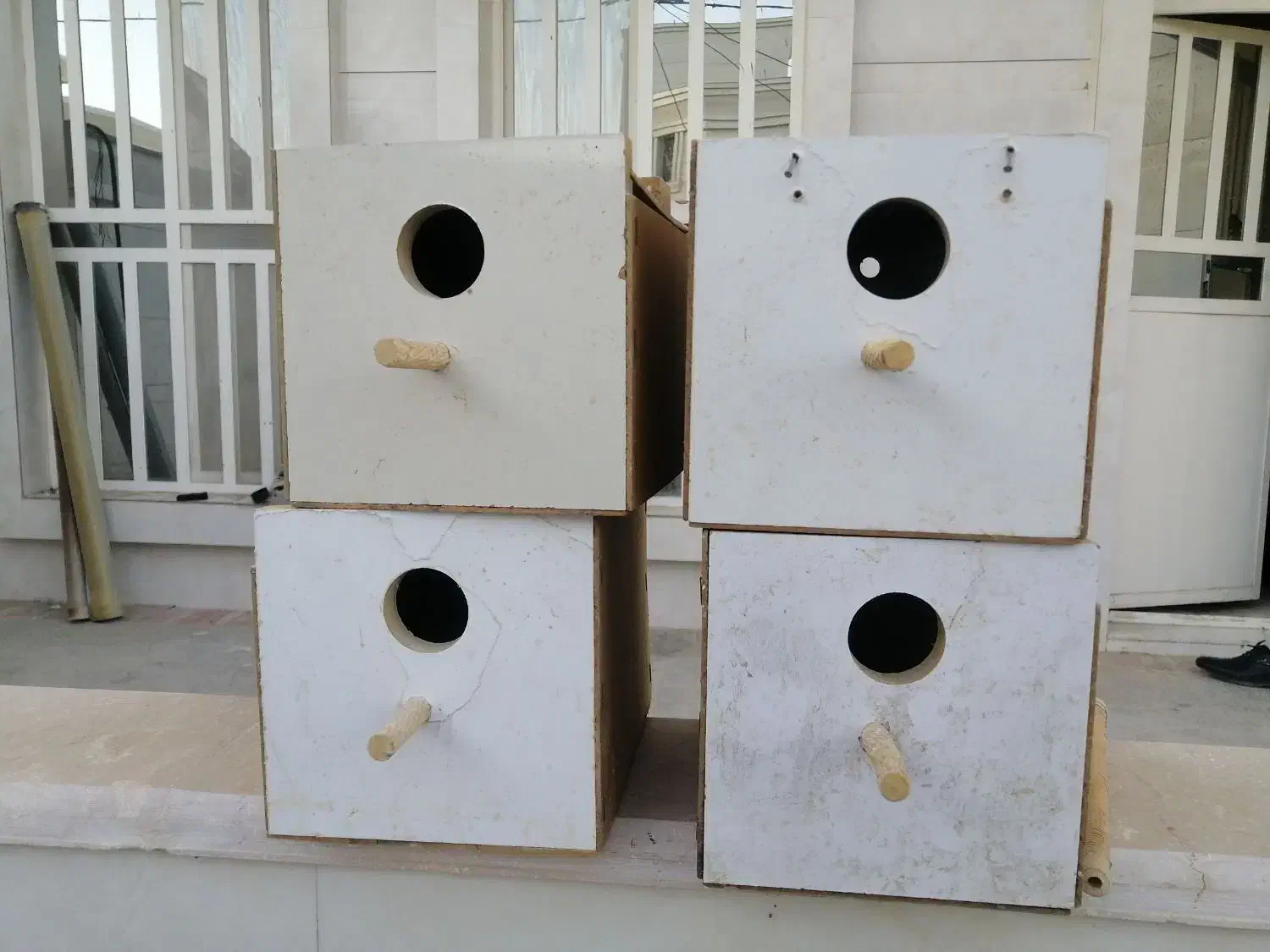 لانه طوطی برزیلی، گرینچینگ، لونه کوتوله، فنچ و|لوازم جانبی حیوانات|کوار, |دیوار