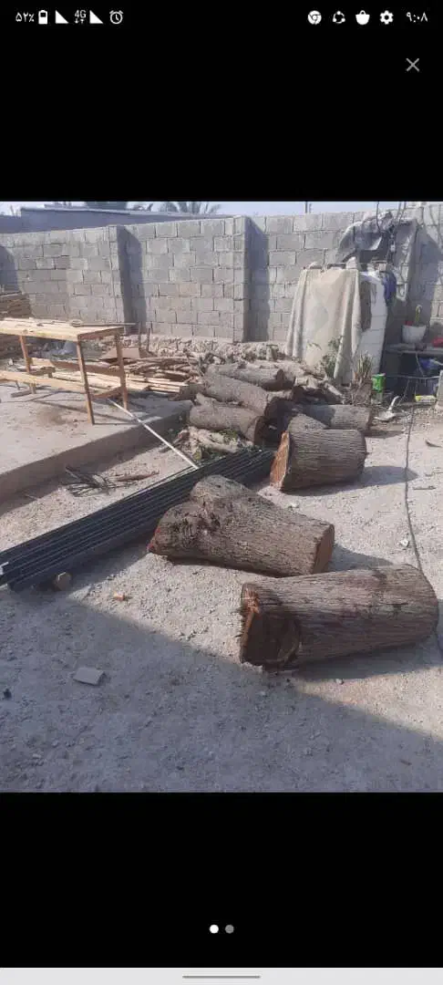 قطع نخل و درخت با خرید چوب|خدمات باغبانی و درختکاری|بهبهان, |دیوار