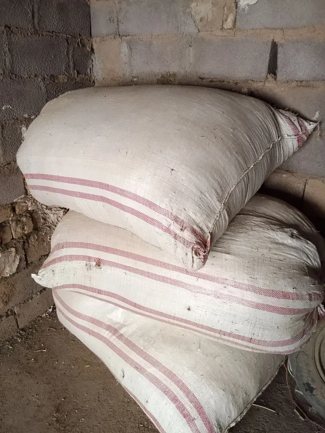 علف|لوازم جانبی حیوانات|سریش آباد, |دیوار