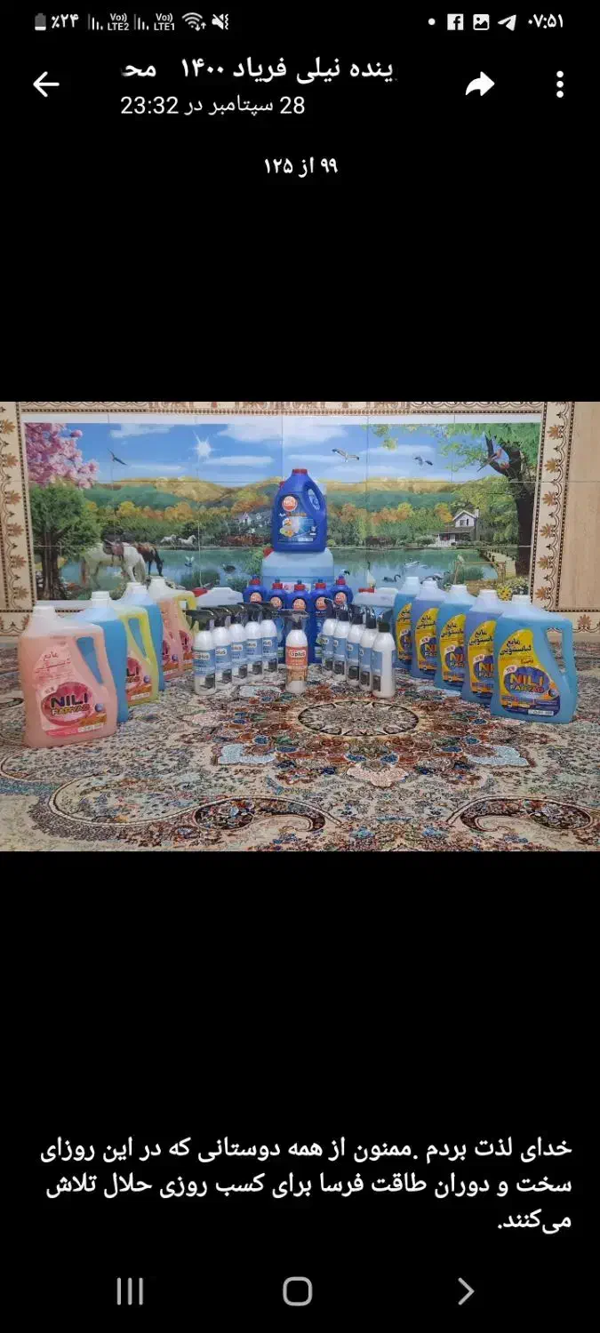 نمایندگی شوینده نیلی فریاد|مواد شوینده و دستمال کاغذی|قوچان, |دیوار