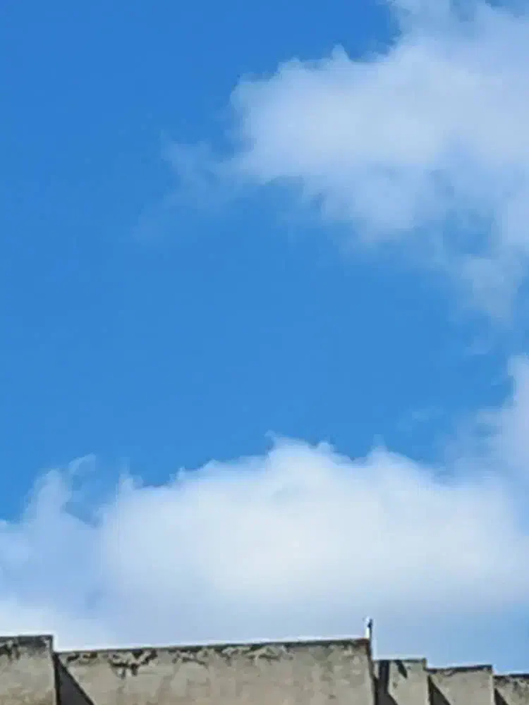 فروش فوری مغازه تجاری در بازارچه خیابان نادر|فروش مغازه و غرفه|ساری, |دیوار