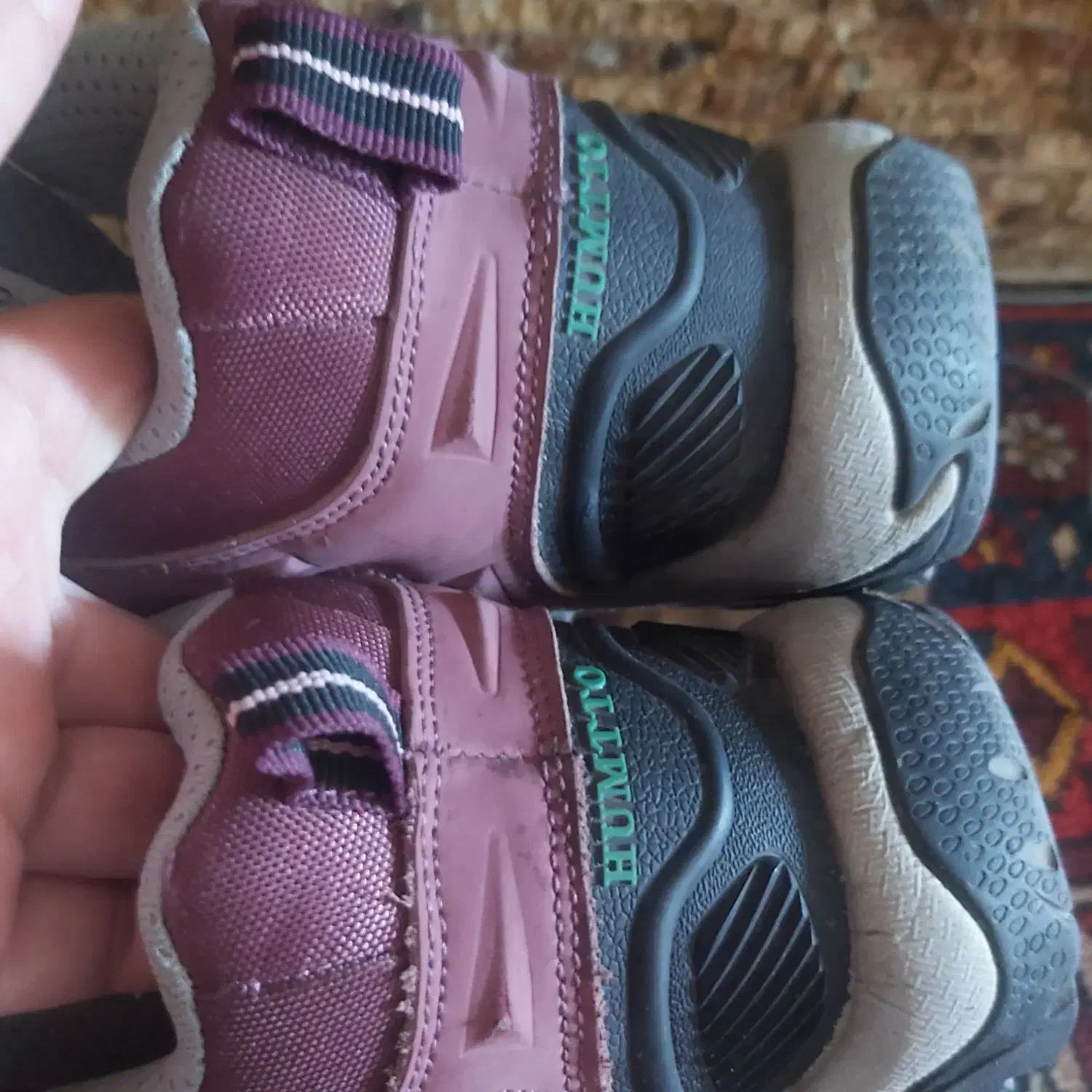 کفش هامتو نو|کیف، کفش، کمربند|اصفهان, خانه اصفهان|دیوار