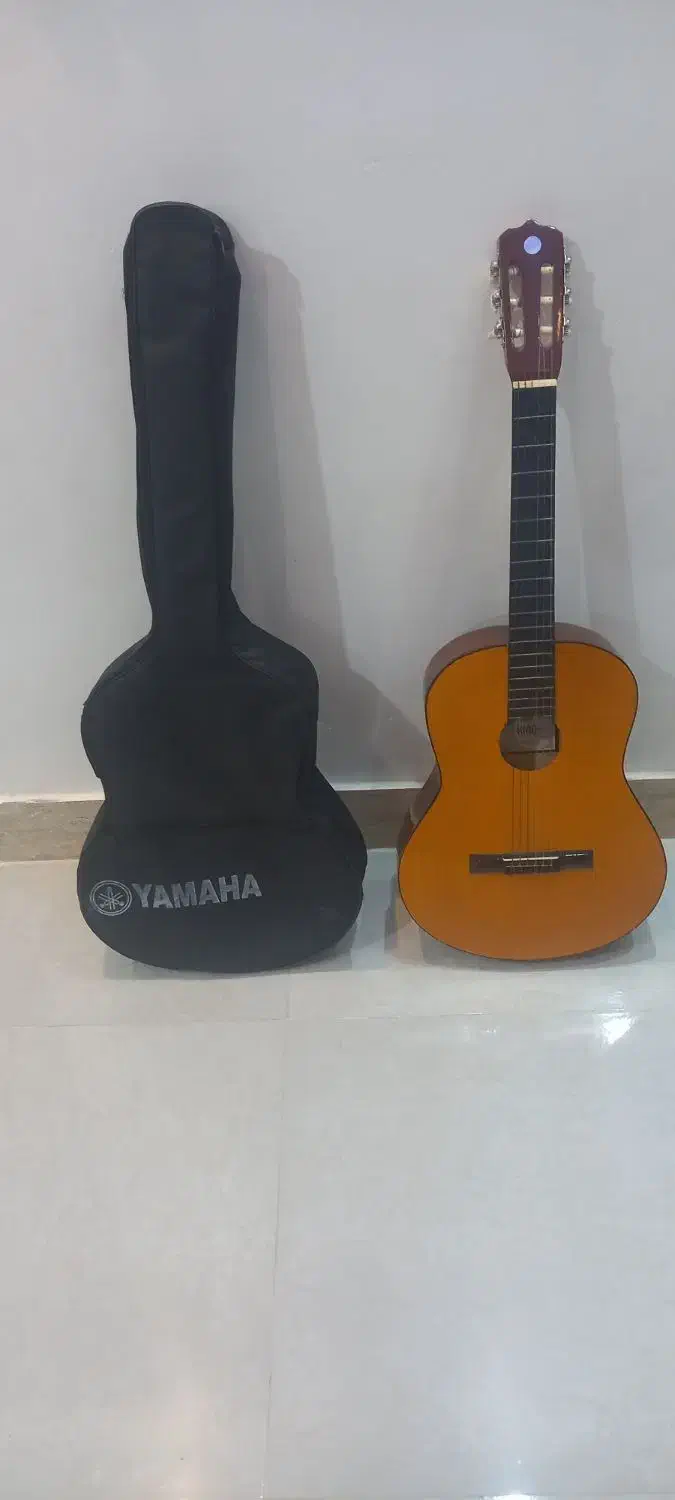 گیتار|گیتار، بیس، امپلیفایر|رشت, انصاری|دیوار