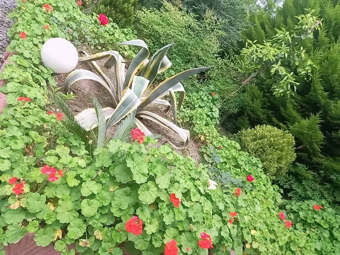 اجاره ویلا دوخواب نزدیک دریا وجنگل شبانه،ماهانه|اجارهٔ کوتاه‌مدت ویلا و باغ|نور, |دیوار