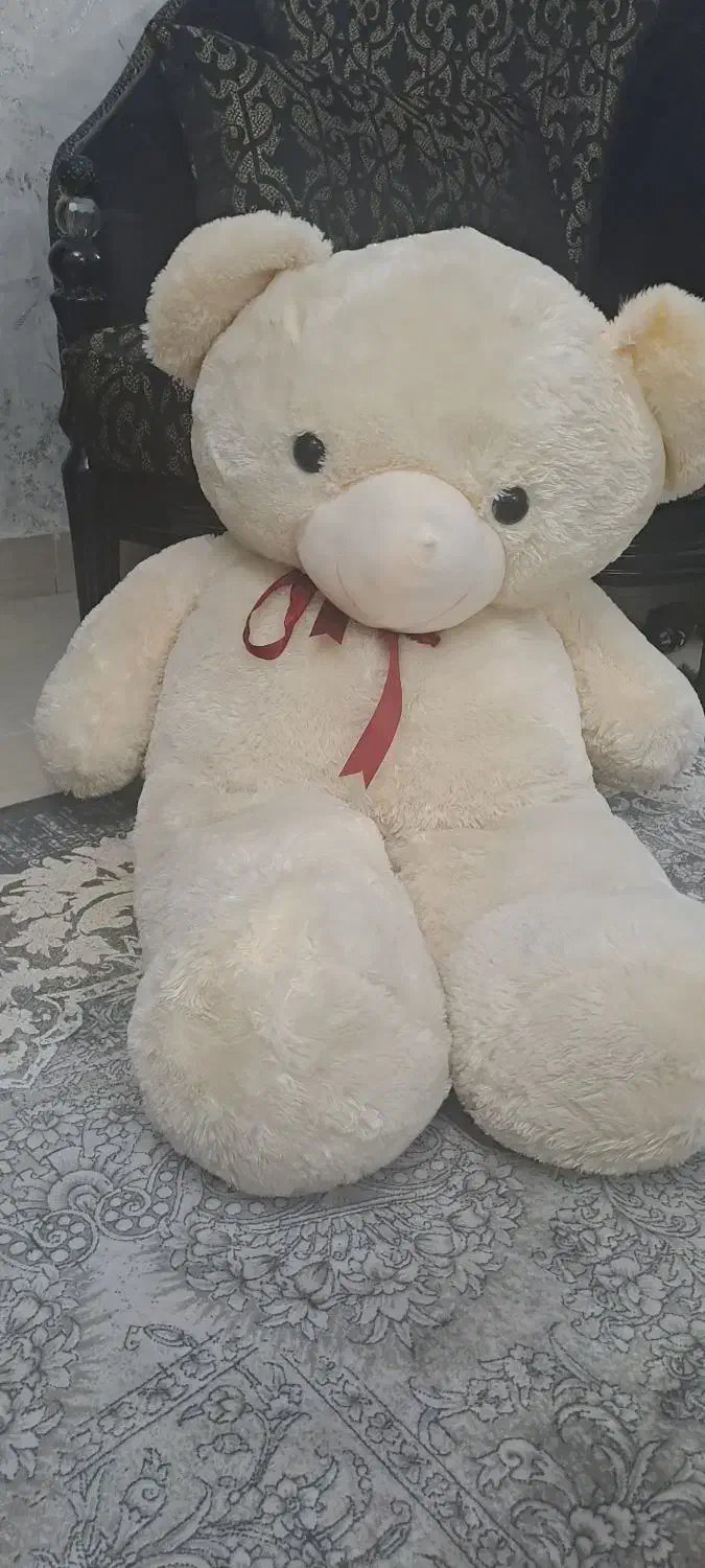 خرس عروسکی|اسباب‌‌بازی|اردبیل, |دیوار