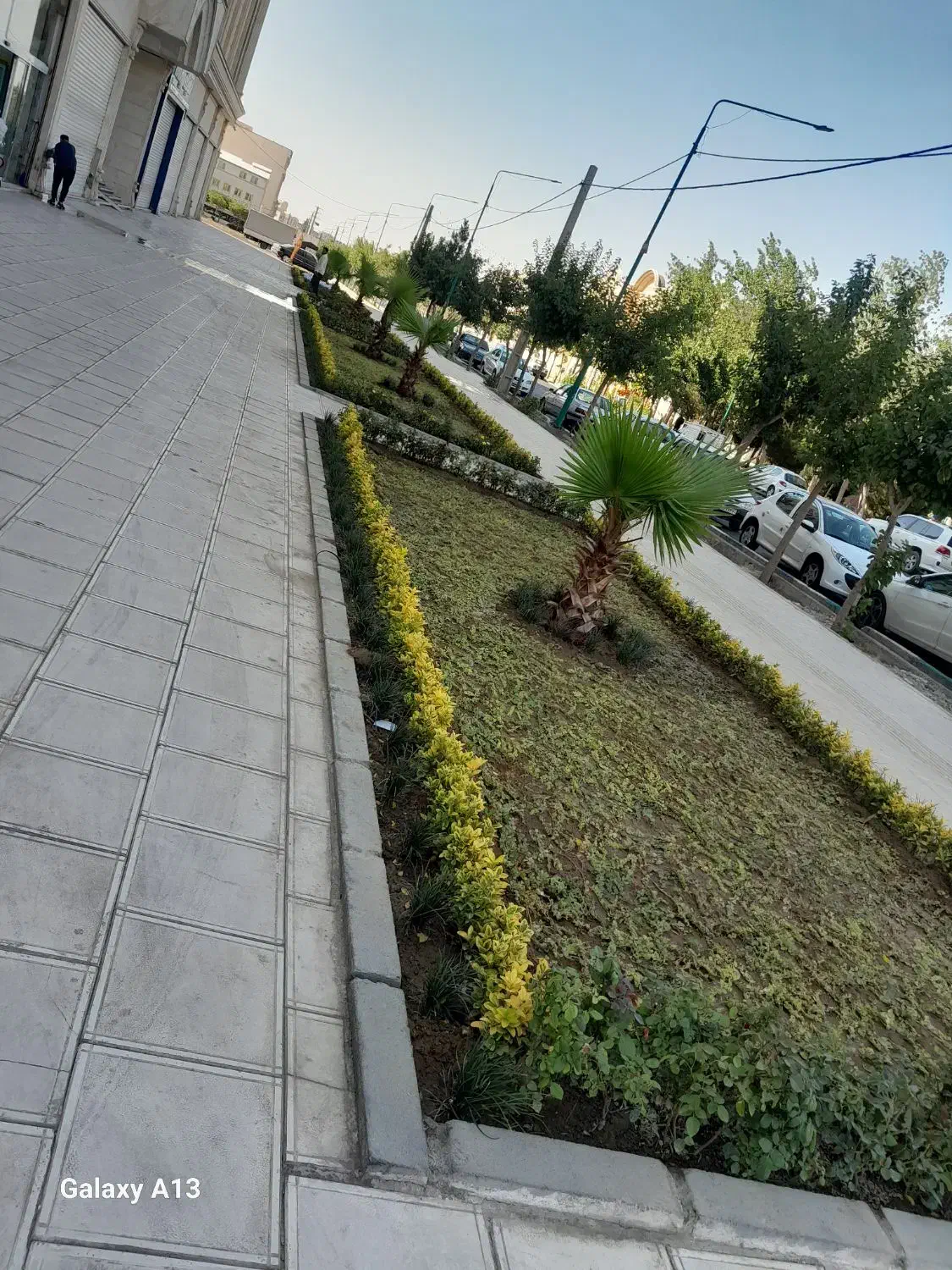 باغبانی ودرخت کاری جلال دلبری|خدمات باغبانی و درختکاری|تهران, سبلان (لشگر)|دیوار