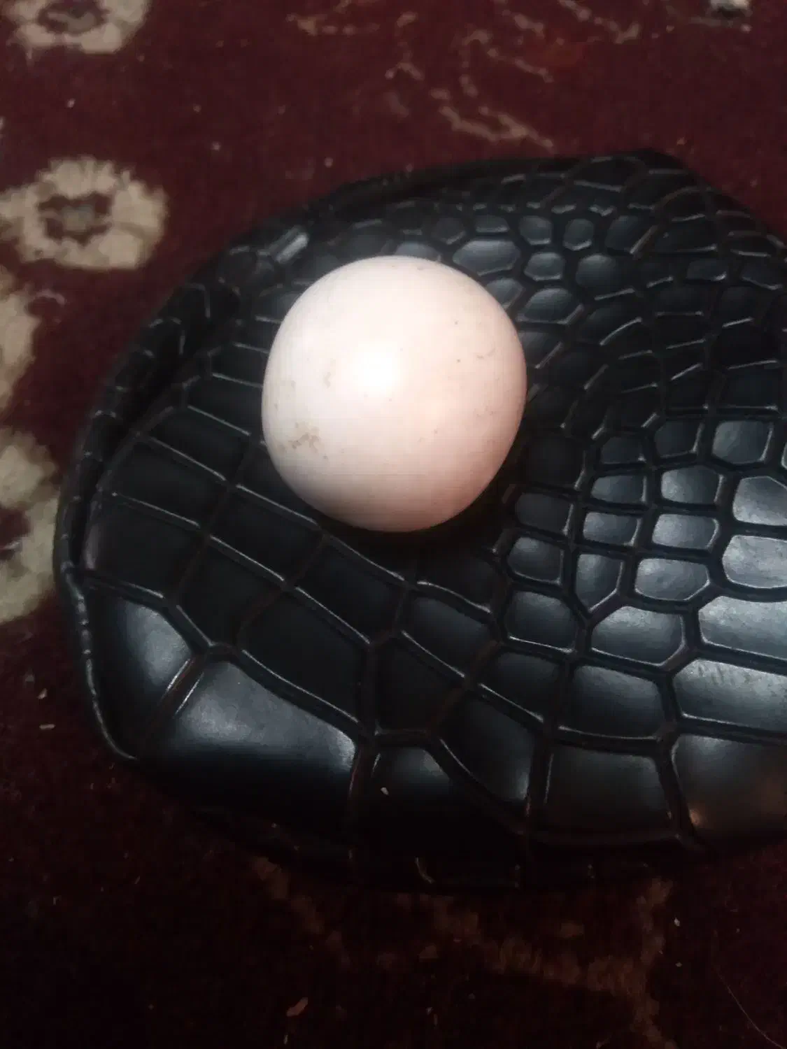 سنگ آسیاب و سنگ کوارتز|کلکسیون اشیاء عتیقه|رشت, سلیمانداراب|دیوار