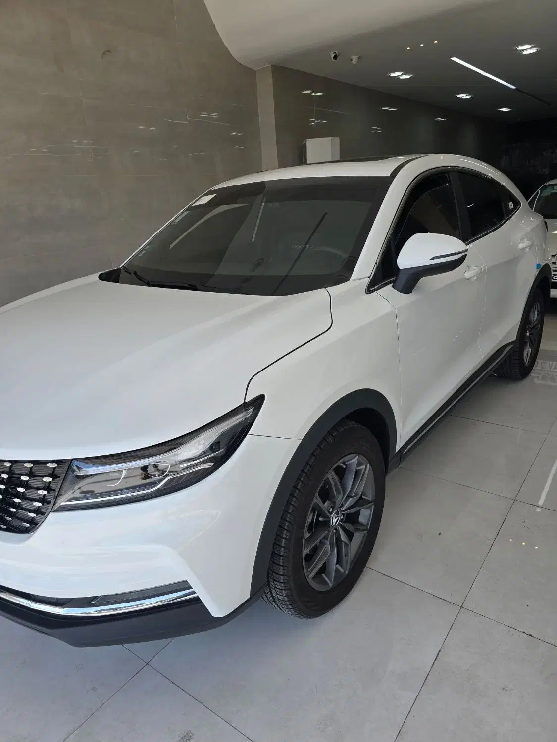 دیگنیتی پرایم ۴۰۳ سفید در حد خشک ۵ تا کار|خودرو سواری و وانت|بوشهر, |دیوار