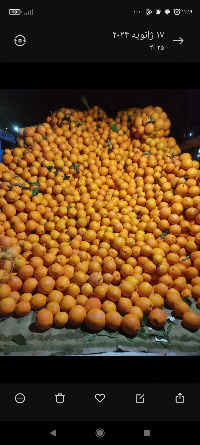 نارنگی ضعیف و ضایعات وسنگ پا|حراج|ساری, |دیوار