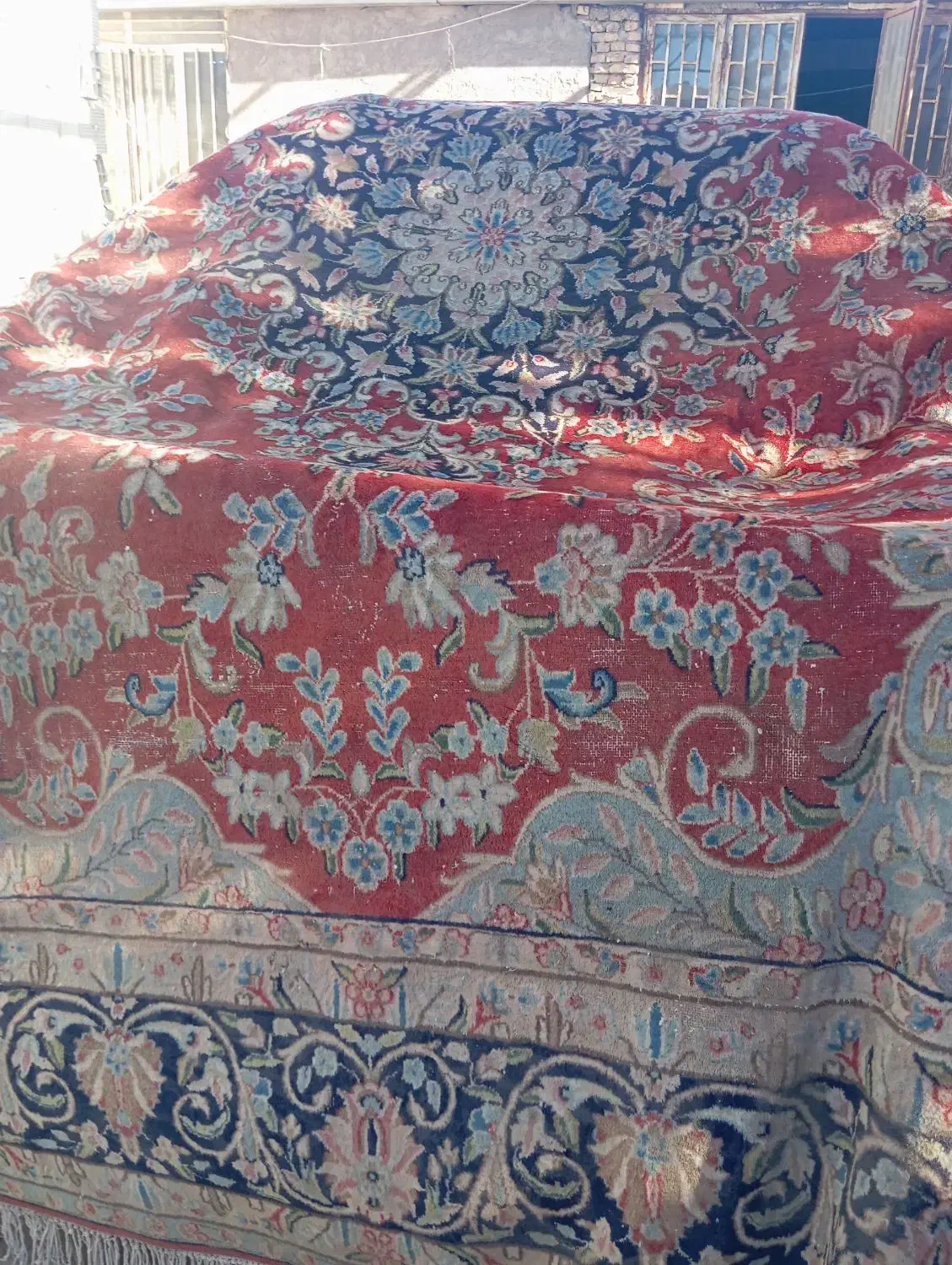 قالی دست بافت وماشینی|فرش|رفسنجان, |دیوار