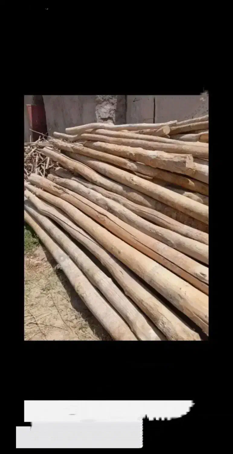 خرید چوب سقفی یاهمون دام تیری سالم وپوسیده|خدمات باغبانی و درختکاری|تاکستان, |دیوار