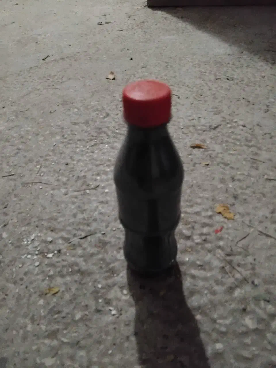 ماهی|ماهی|گلبهار, شهر جدید گلبهار|دیوار