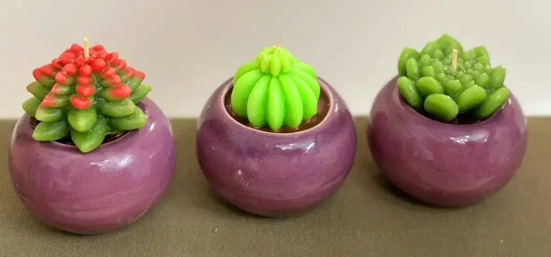 شمع کاکتوسی|صنایع دستی و سایر لوازم تزئینی|تهران, دولاب|دیوار