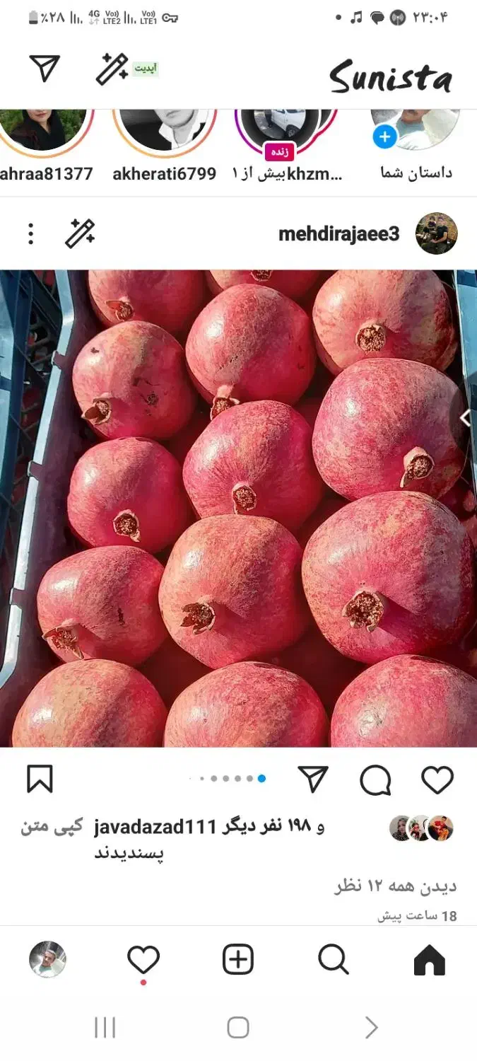 انار درجه یک کاشمر کیلو ۱۰۰تومان|خوردنی و آشامیدنی|نیشابور, شهید جعفری|دیوار