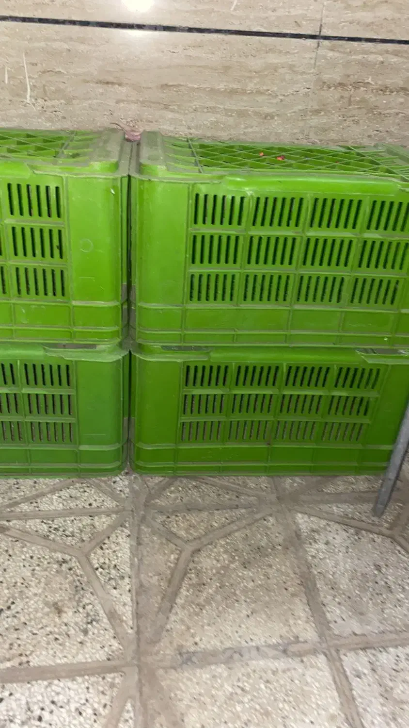 سبد|ظروف نگهدارنده، پلاستیکی، یکبارمصرف|نیشابور, ابراهیمی|دیوار