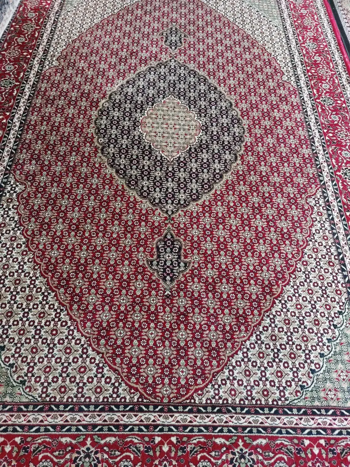 یک جفت ۶متری|فرش|بیرجند, |دیوار