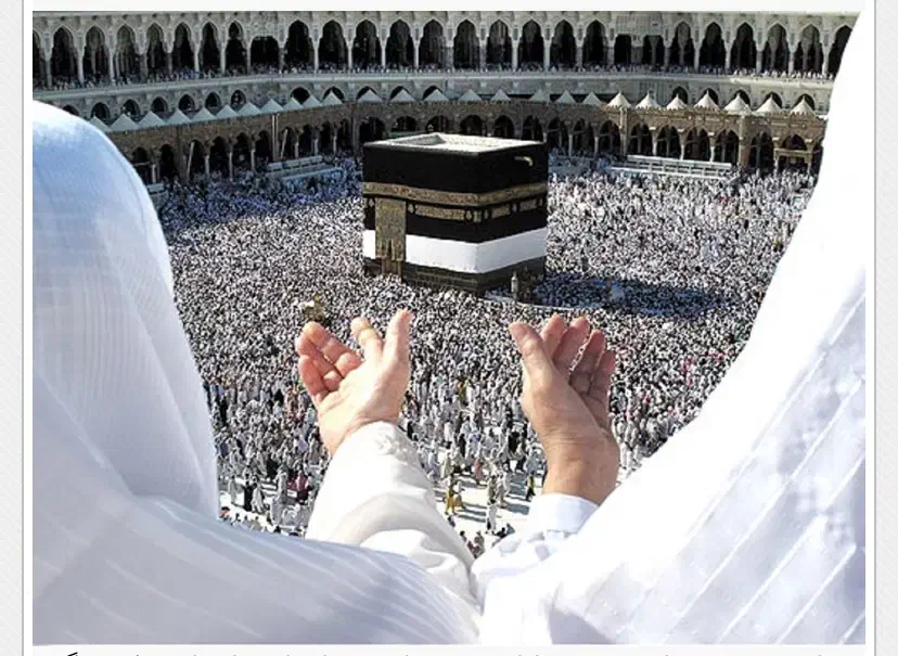 فروش فیش حج عمره|تور و چارتر|شاهین‌شهر, فردوسی|دیوار