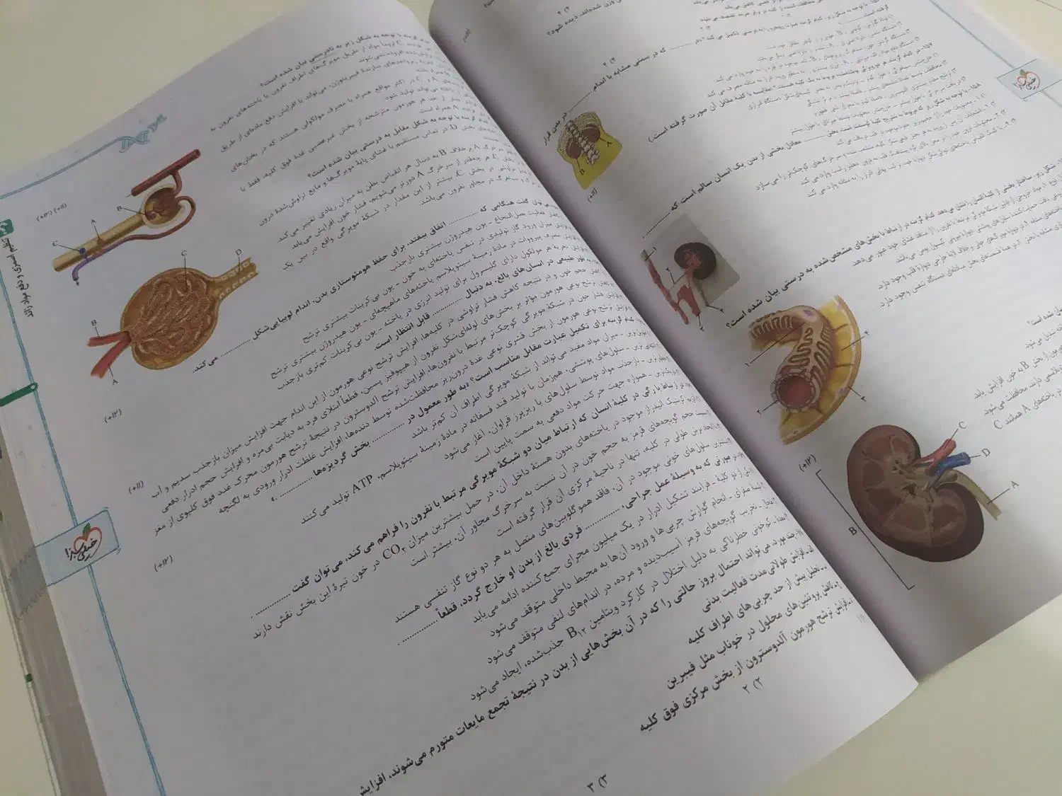 کتاب تست کنکوری زیست شناسی پایه دهم تجربی|کتاب و مجله آموزشی|کلاله, |دیوار