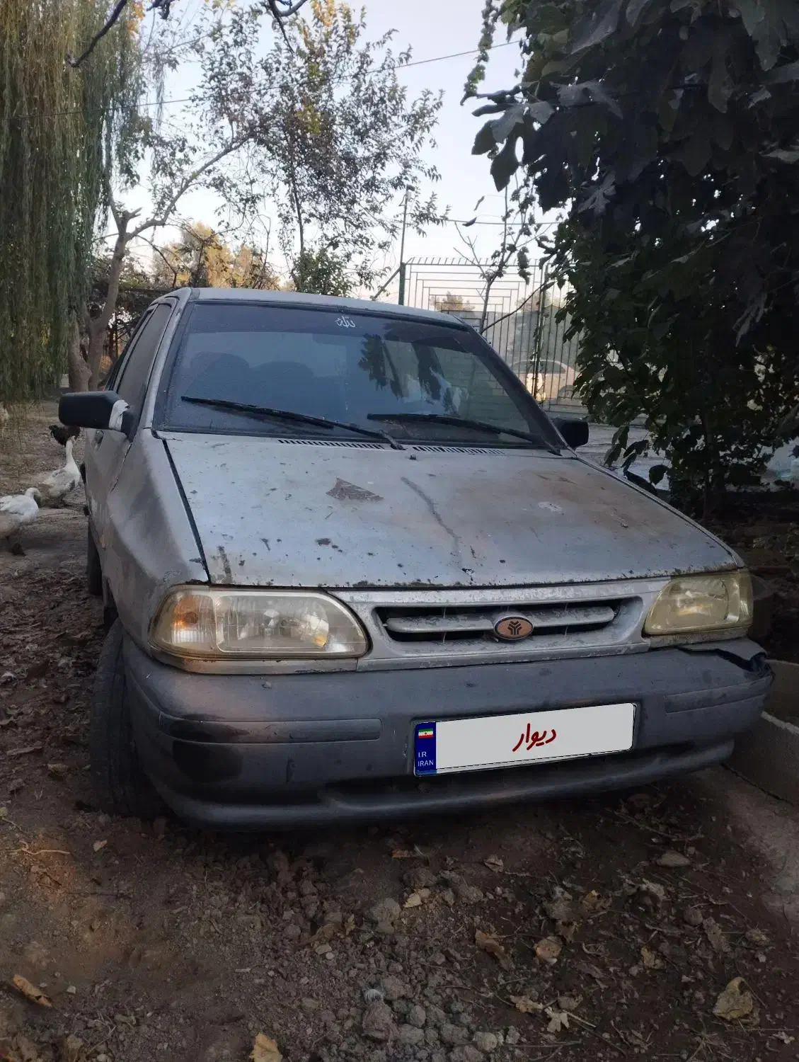 پراید مدل CNG۸۴|خودرو سواری و وانت|گنبد کاووس, |دیوار