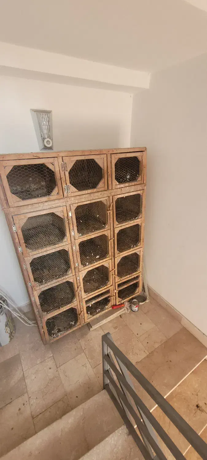 جفتگاه کبوتر|لوازم جانبی حیوانات|نشتارود, |دیوار