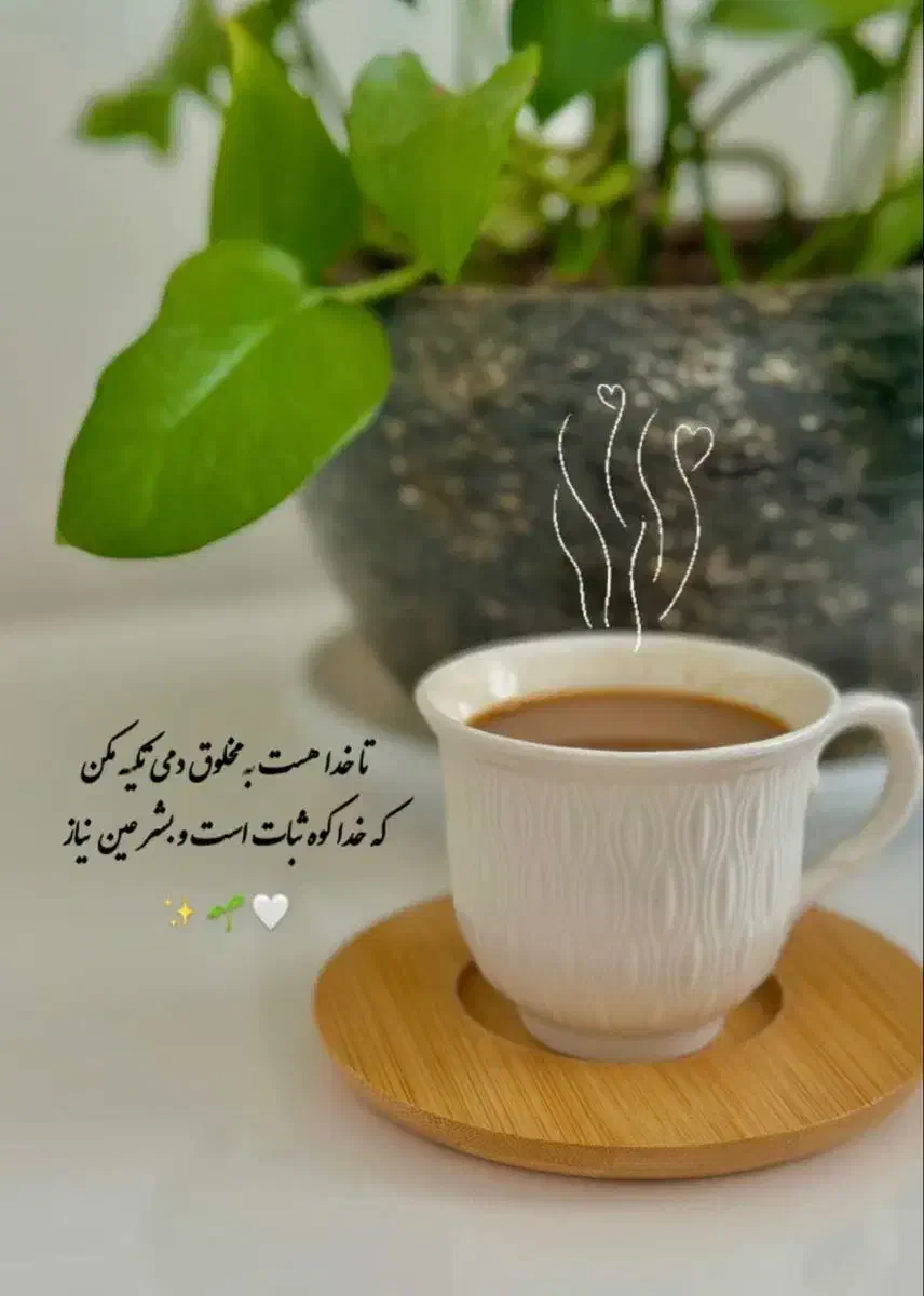 مرغی|فعالیت داوطلبانه|شیراز, دارالرحمه|دیوار