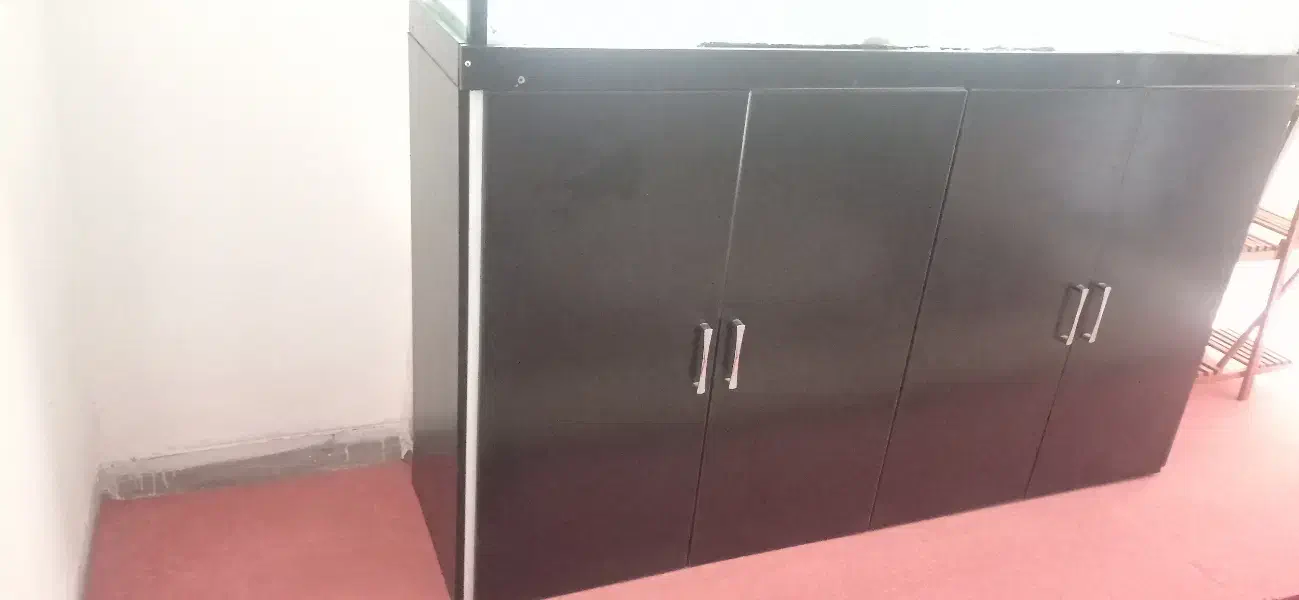 آکواریوم با کمدام دی اف|ماهی|شازند, |دیوار