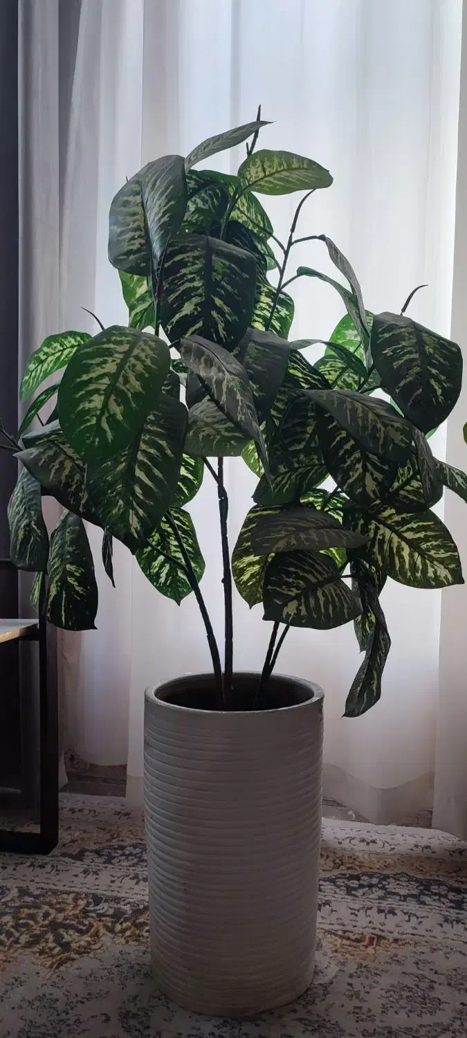 گل دیفن|گل مصنوعی|یاسوج, |دیوار