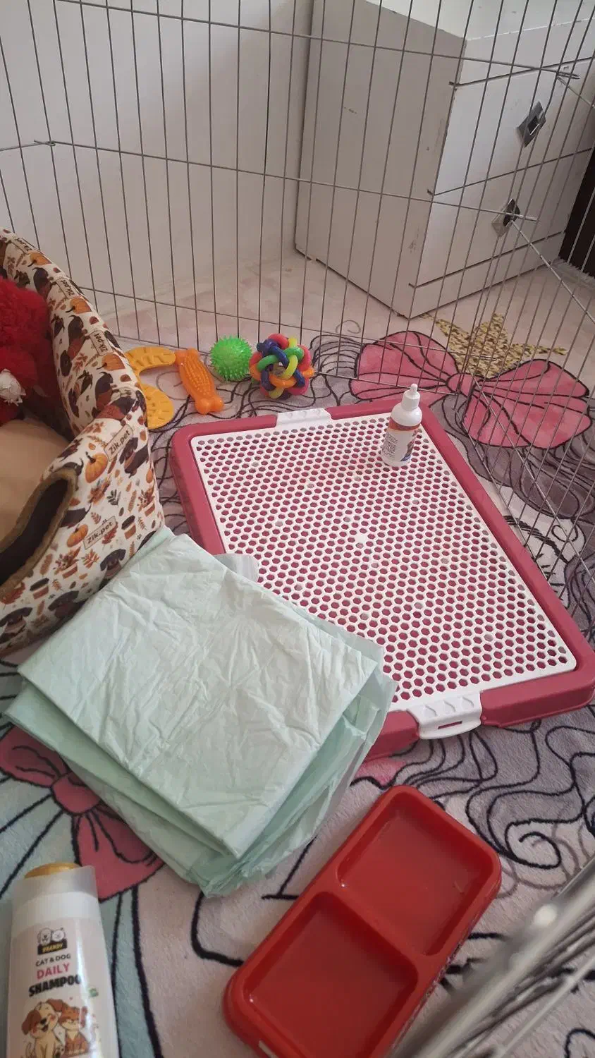 وسایل سگ|لوازم جانبی حیوانات|پرند, فاز ۵|دیوار