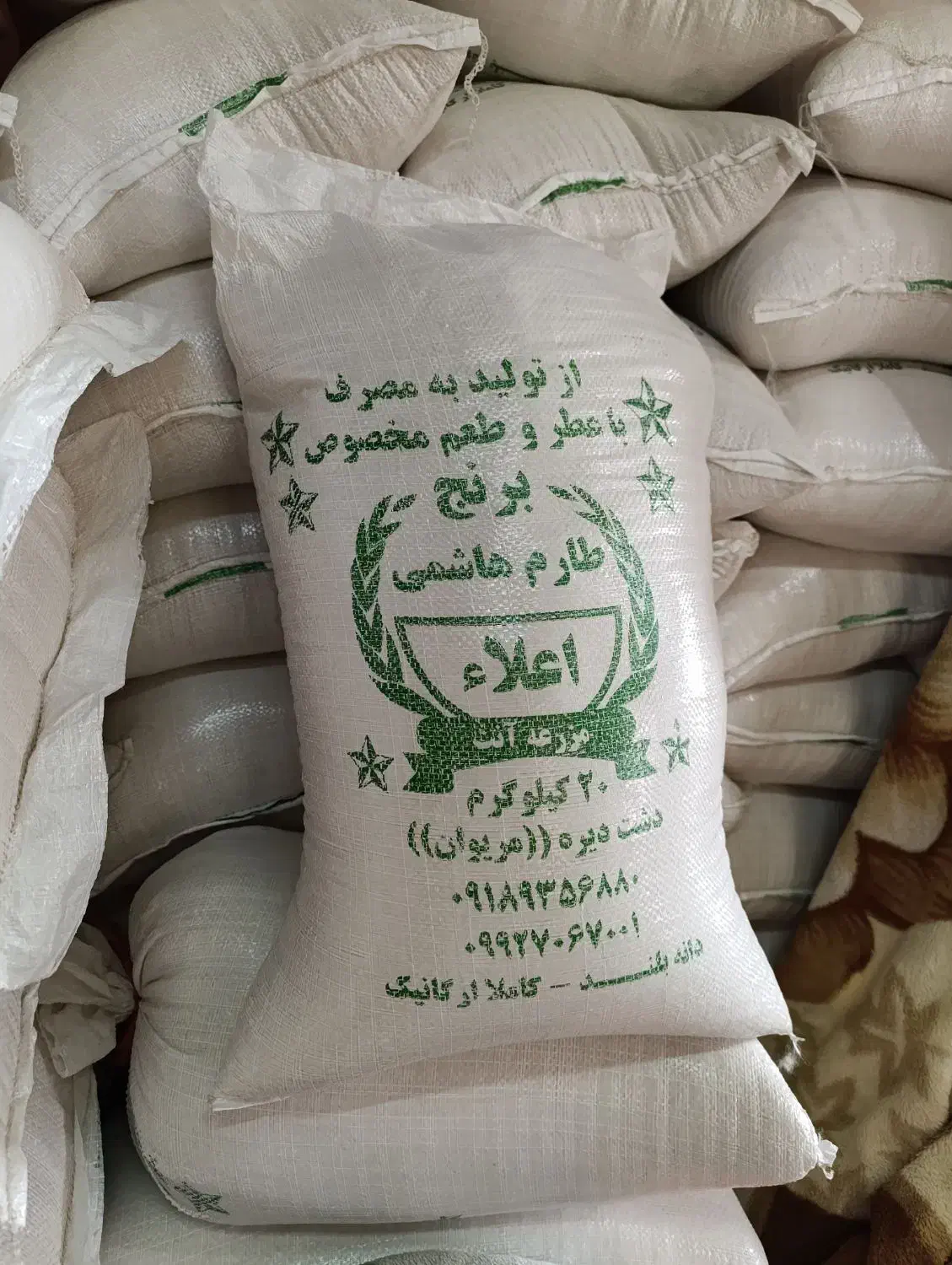 برنج هاشمی|خوردنی و آشامیدنی|گیلان غرب, |دیوار