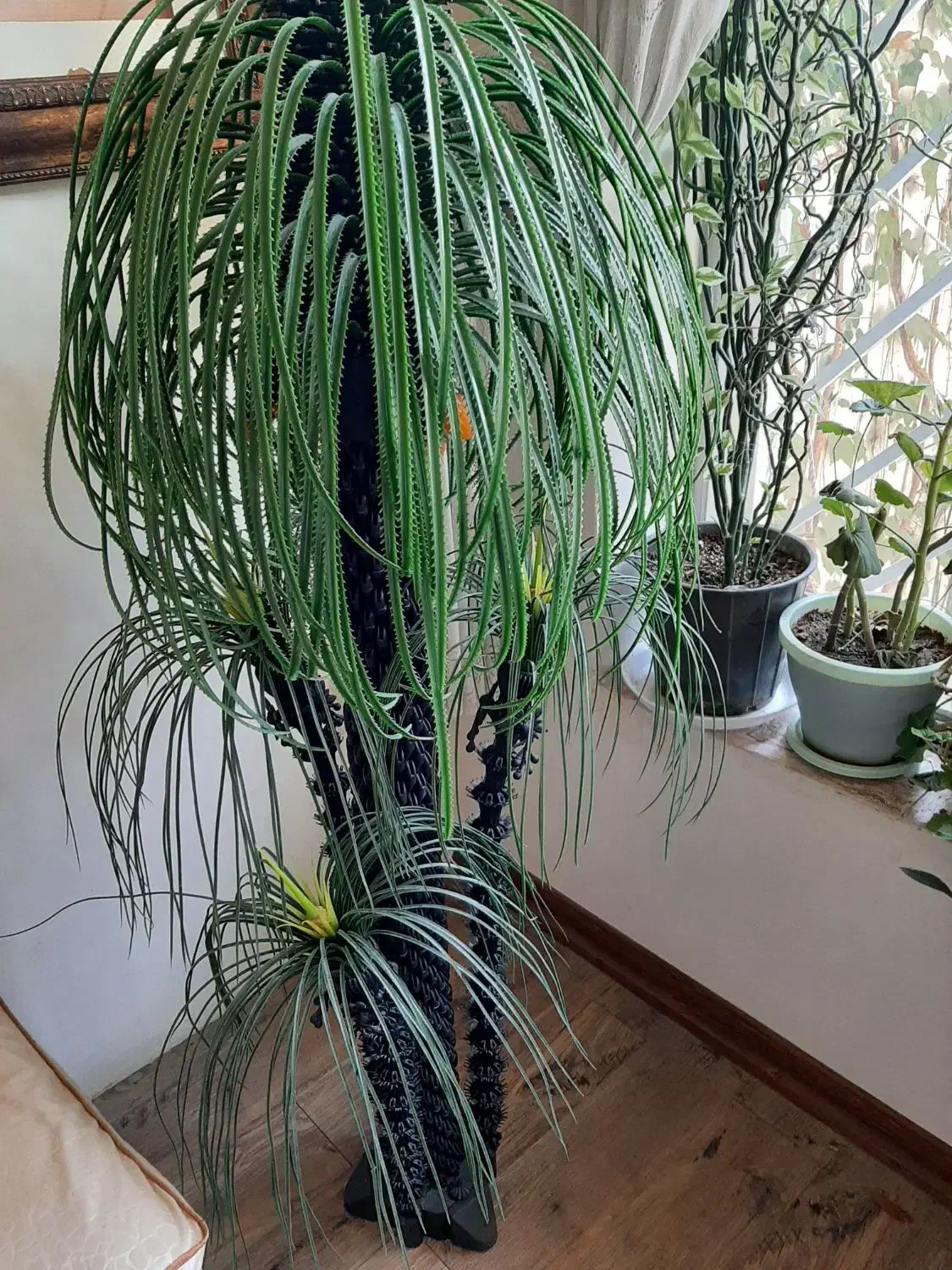 درخت  تزئینی|گل مصنوعی|کرمانشاه, |دیوار