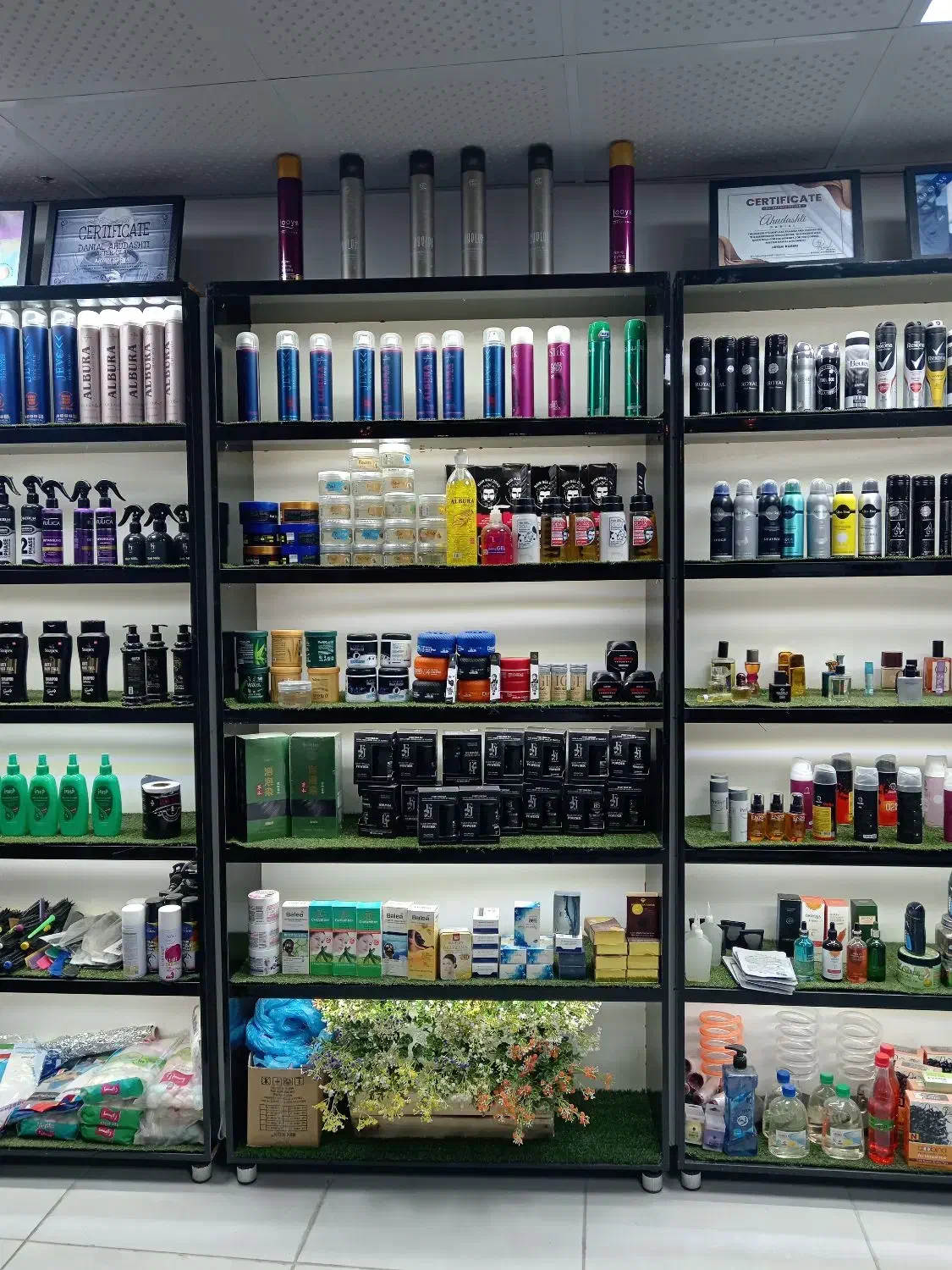 دکور|کتابخانه، شلف، قفسههای دیواری|اشنویه, |دیوار