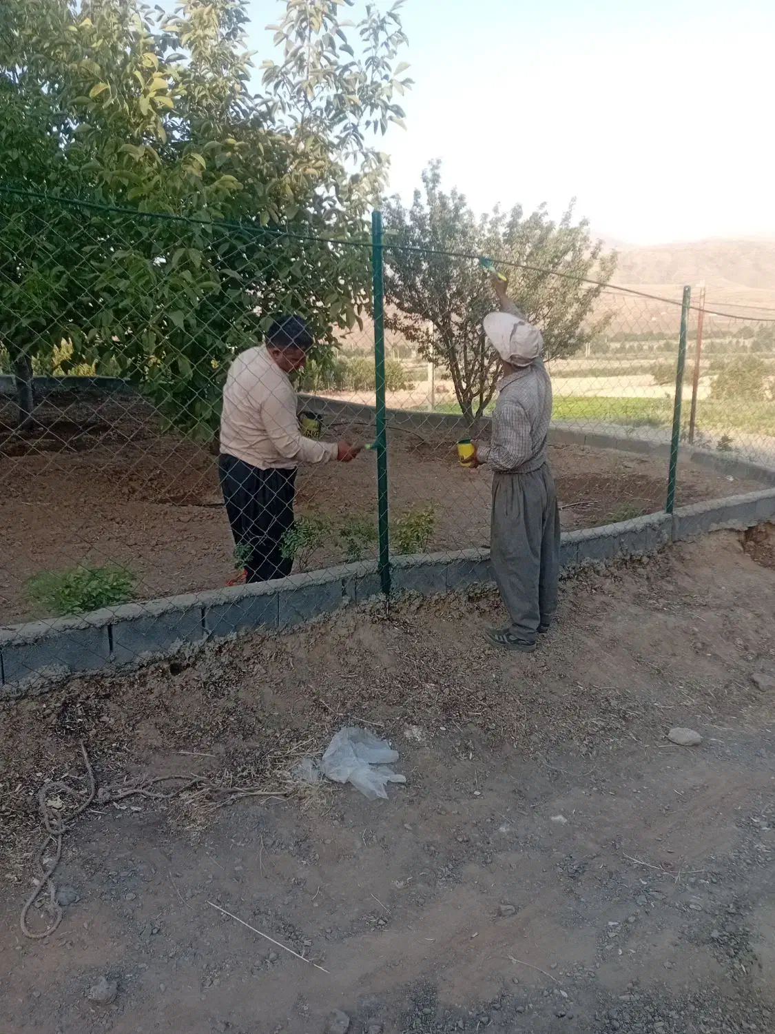 چال کود هرس فنس کشی سم پاشی|خدمات باغبانی و درختکاری|سنندج, |دیوار