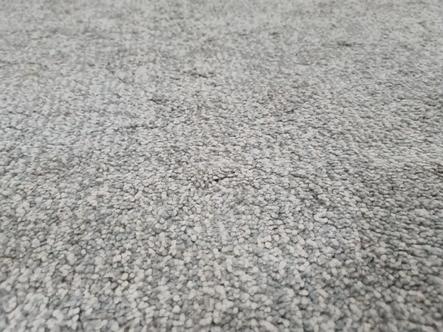 موکت|موکت|کرج, باغستان|دیوار