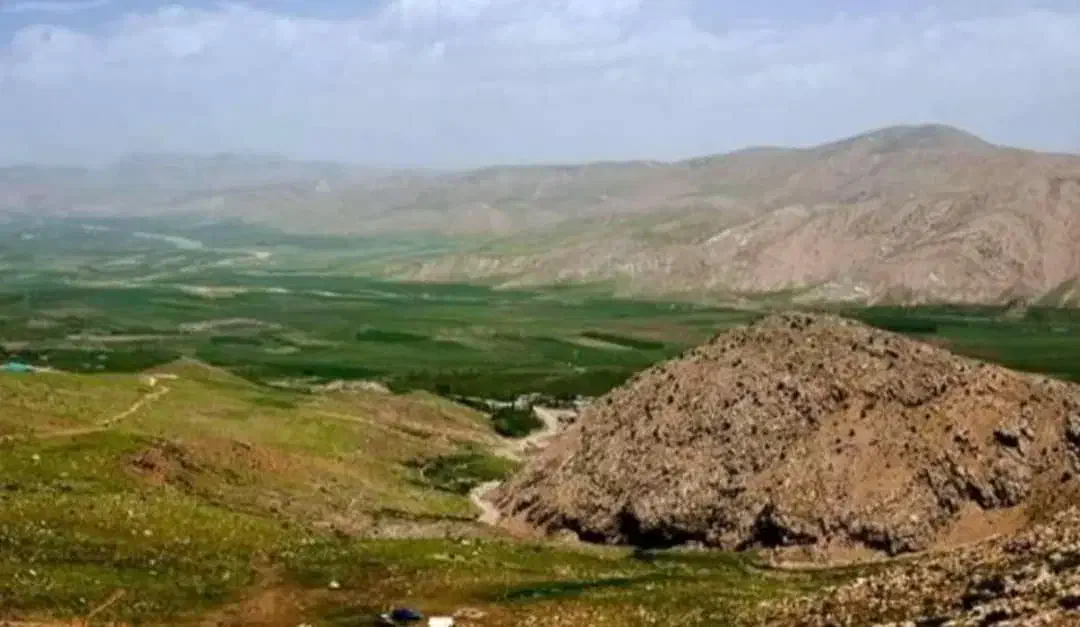 زمین ویلا باغی لوکس در بهش ایران|فروش زمین و ملک کلنگی|شیراز, سینما سعدی|دیوار