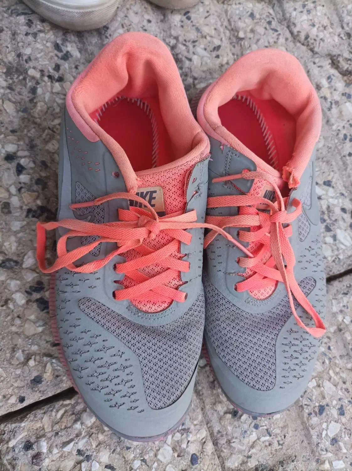 چند جفت کفش دخترانه وزنانه|کیف، کفش، کمربند|خوی, |دیوار