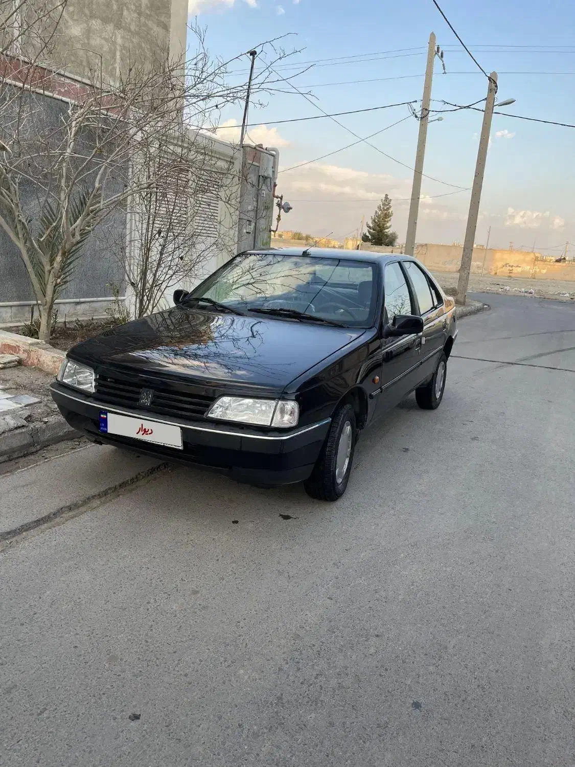 پژو405مدل1389دوگانه|خودرو سواری و وانت|زاهدان, |دیوار