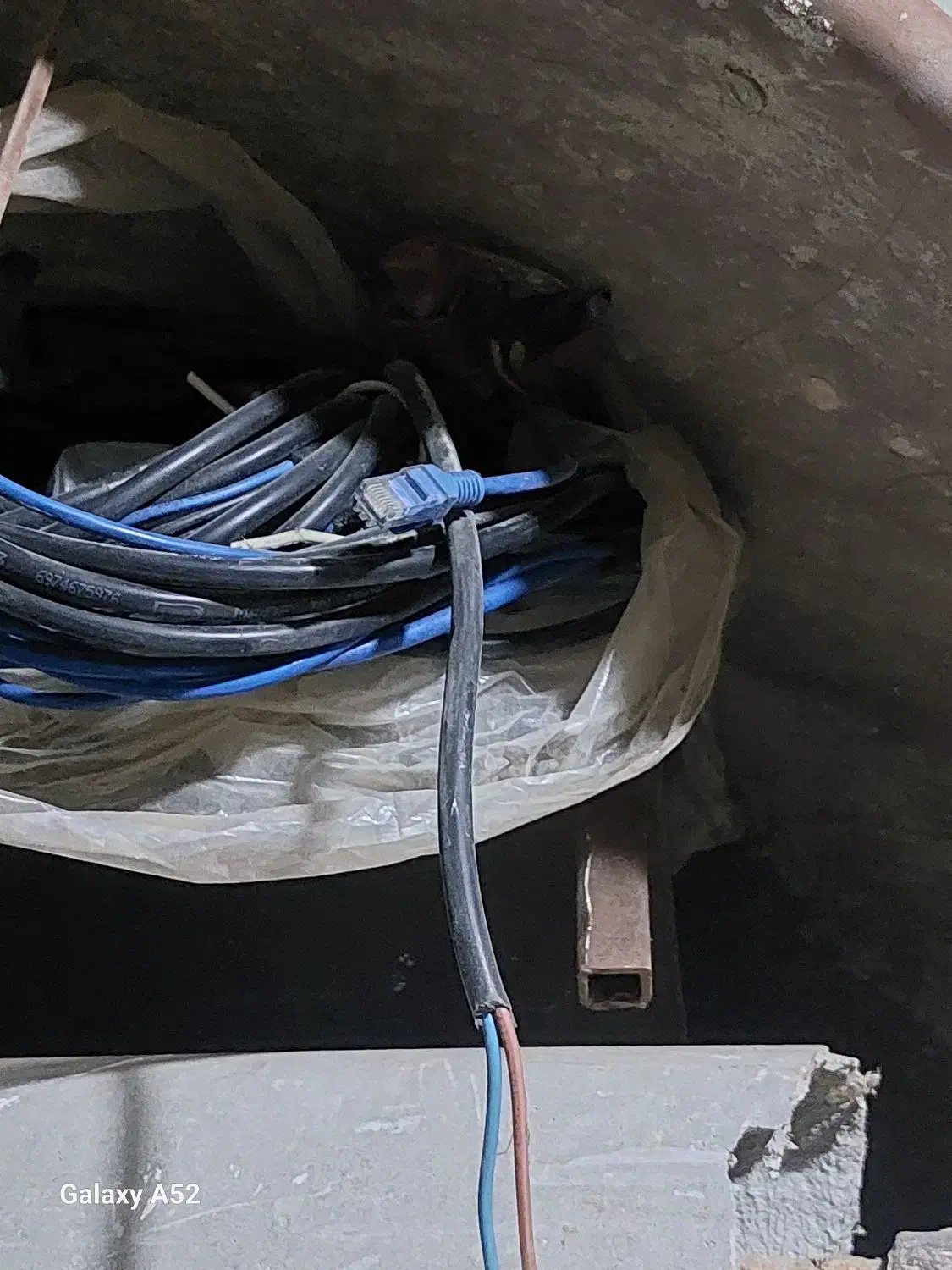 کابل لن ۱متری|قطعات و لوازم جانبی رایانه|مشهد, گلبرگ شمالی|دیوار