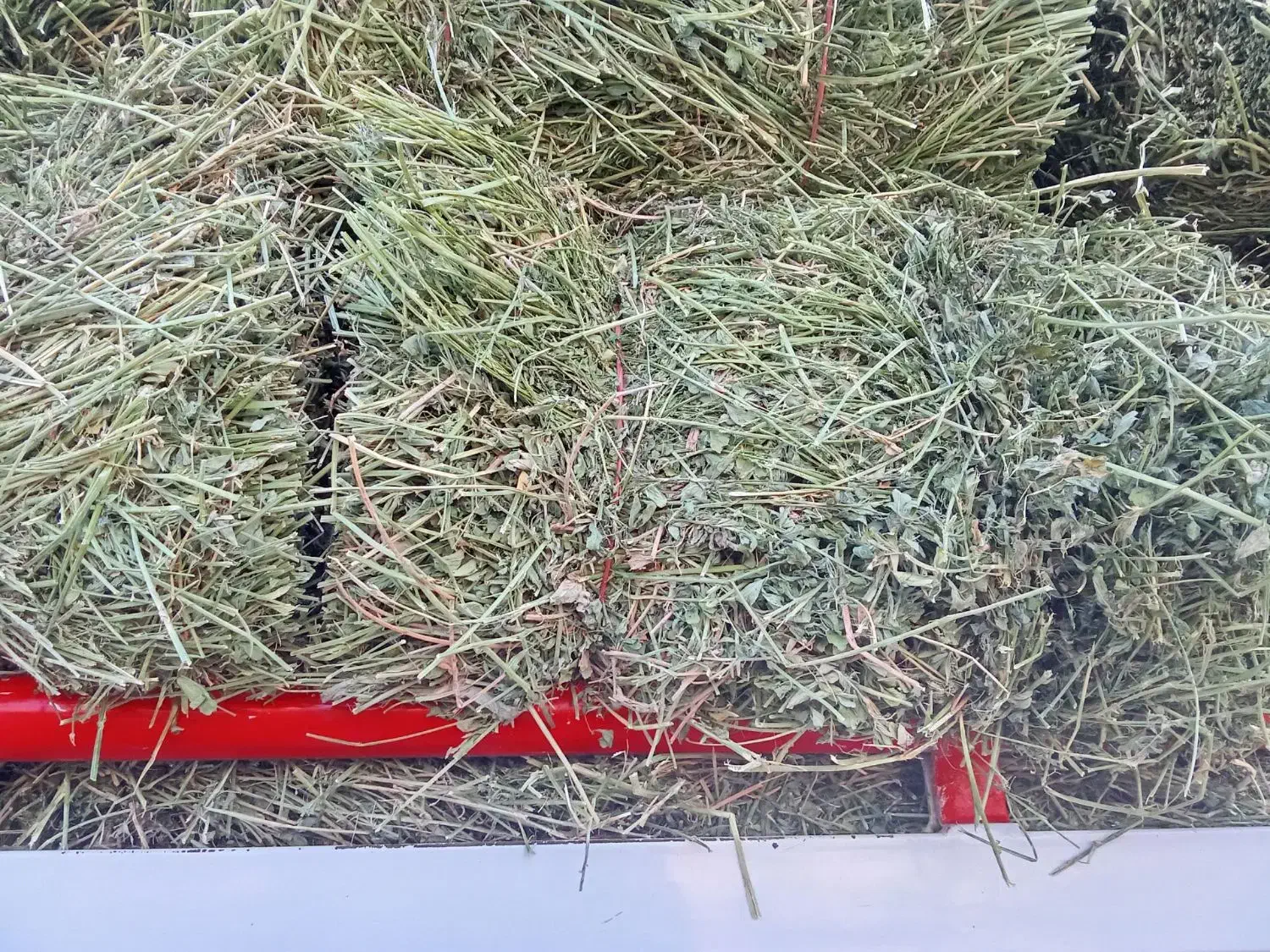 یونجه چین دو سه انباری|عمده‌فروشی|آوج, |دیوار