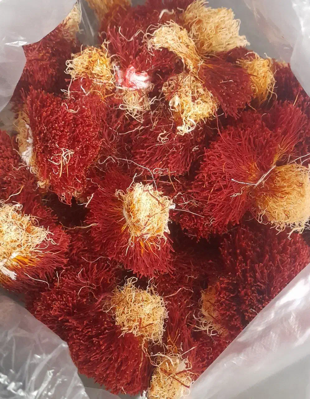 زعفران دخترپیچ|خوردنی و آشامیدنی|تهران, دربند|دیوار